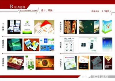 凱蒂廣告傳媒 品牌故事與行業洞察